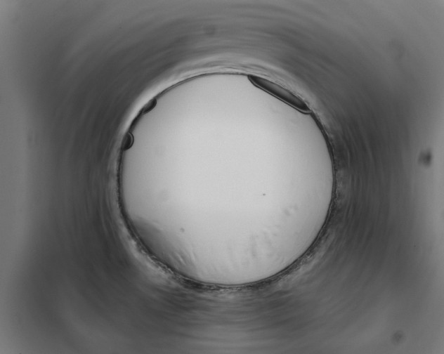 X0000101201530200807251014