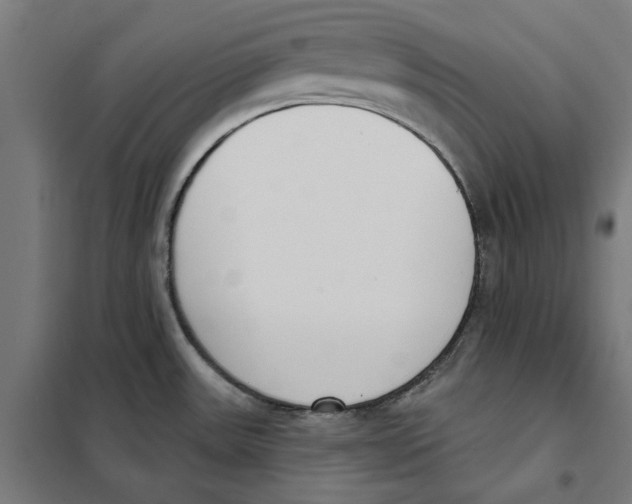 X0000101201531200807251014