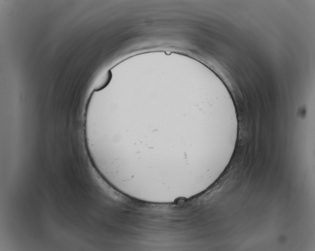 X0000101201532200807251014