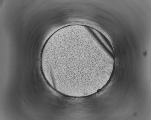 X0000101201533200807251014