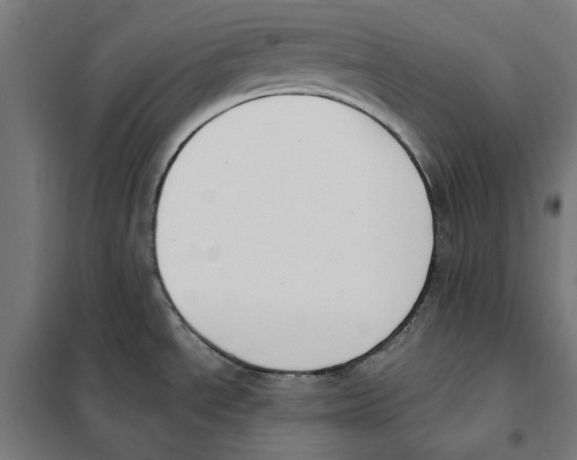 X0000101201534200807251014