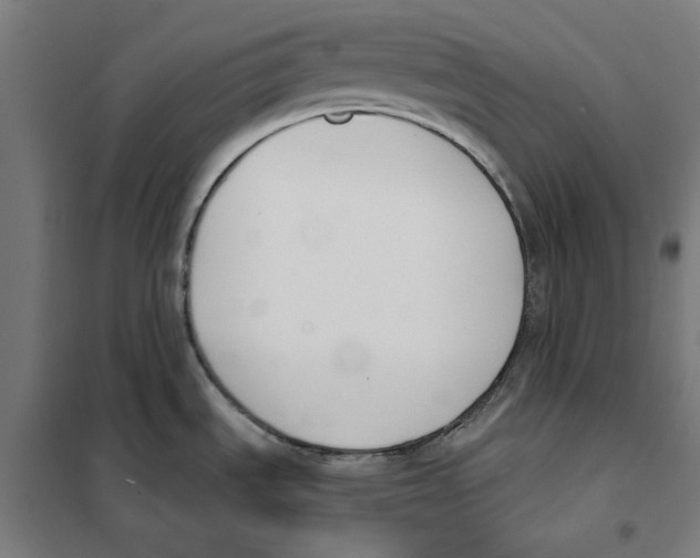 X0000101201535200807251014