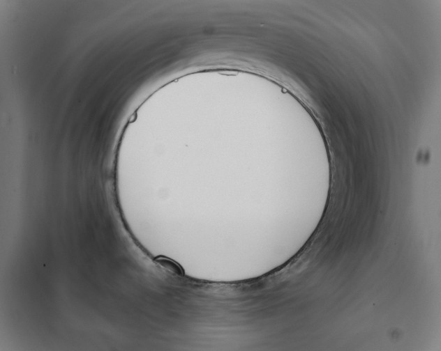 X0000101201536200807251014