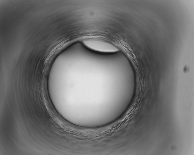 X0000101210001200806270904