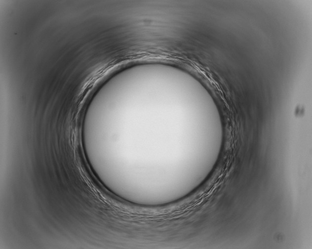 X0000101210002200806270904