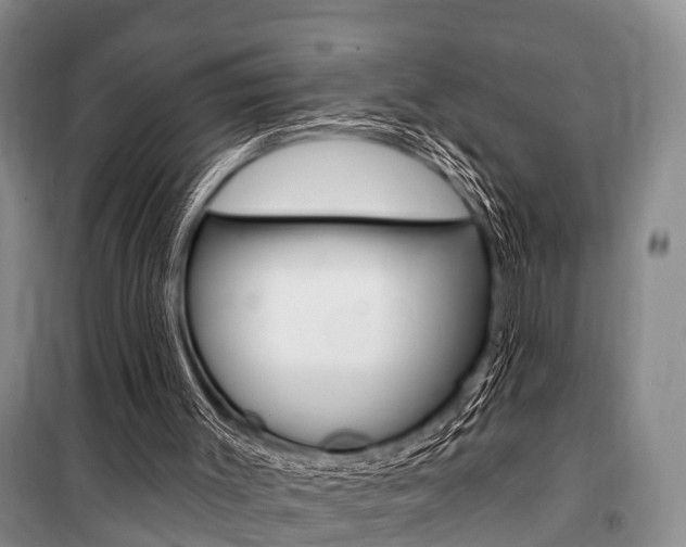 X0000101210003200806270904