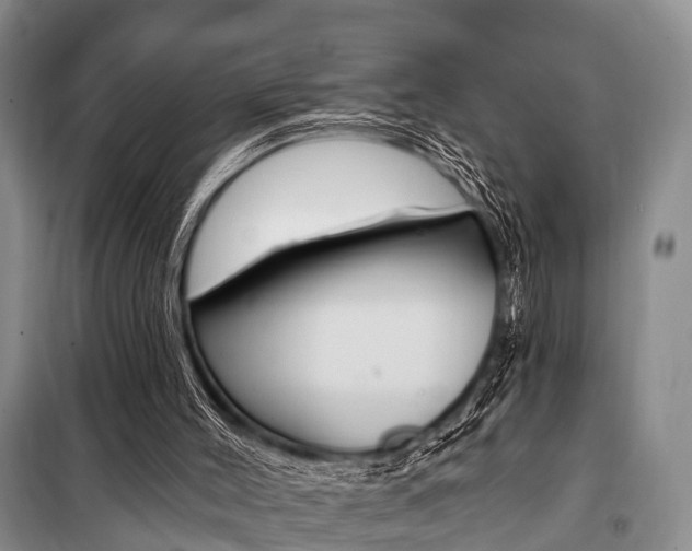 X0000101210004200806270904