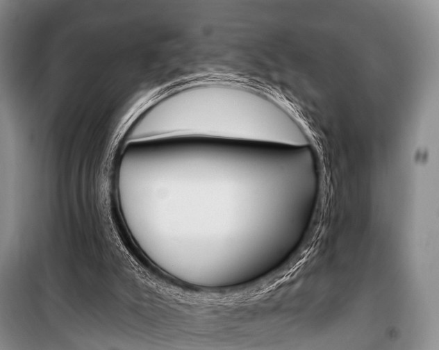 X0000101210007200806270904