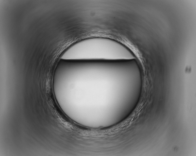 X0000101210009200806270904