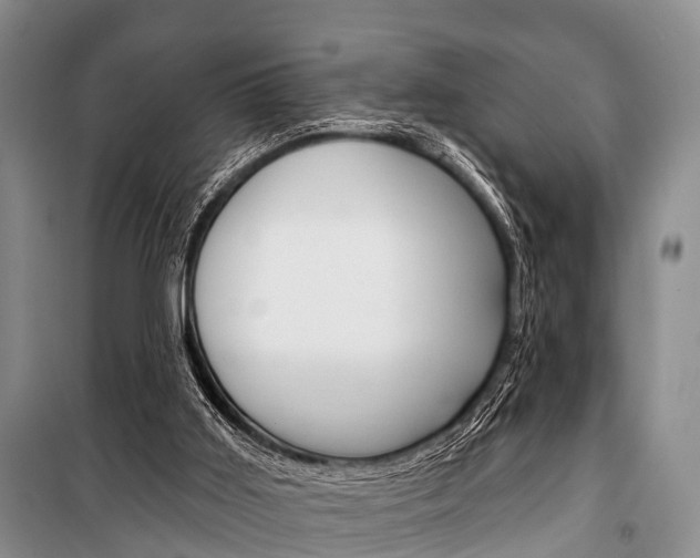 X0000101210011200806270904