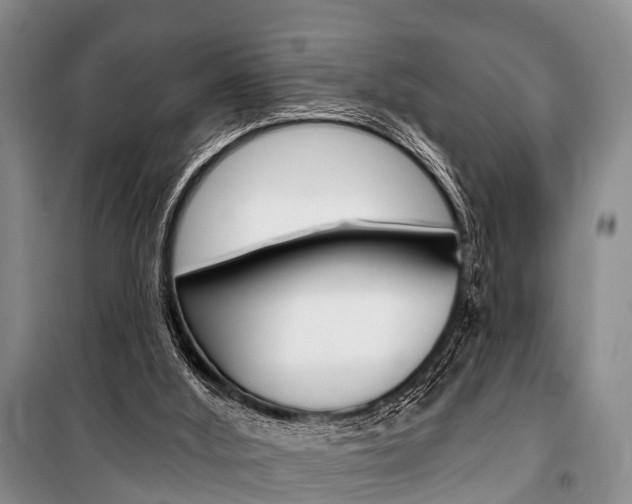 X0000101210012200806270904