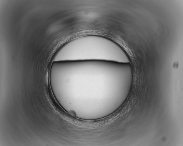X0000101210014200806270904