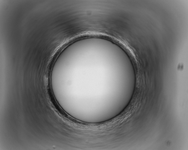 X0000101210015200806270904