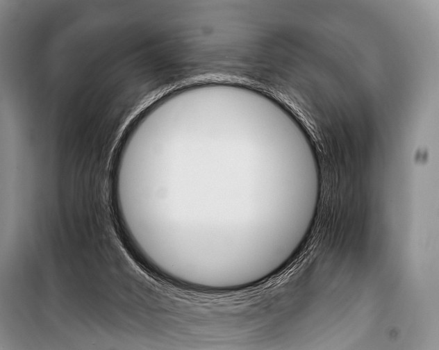 X0000101210016200806270904