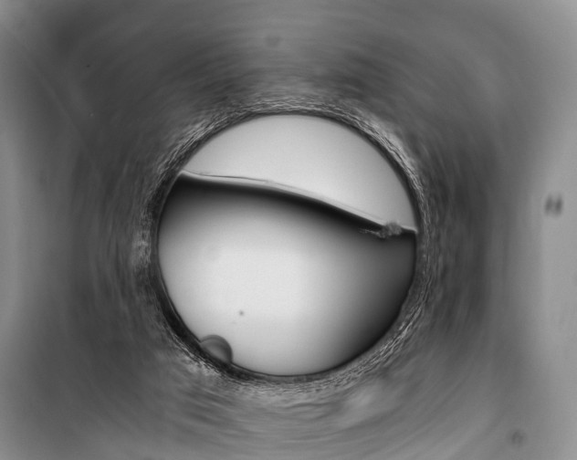 X0000101210017200806270904