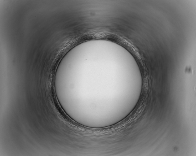 X0000101210018200806270904