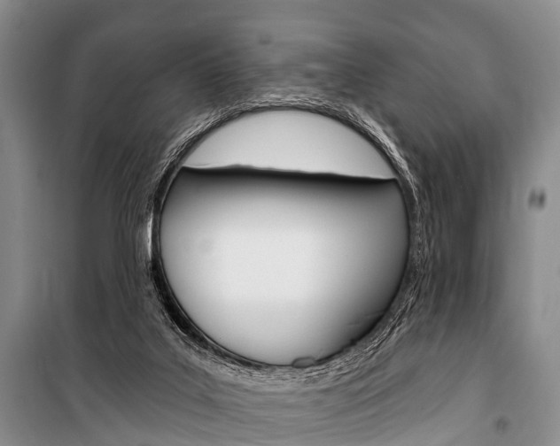 X0000101210019200806270904