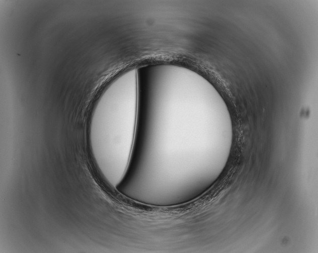 X0000101210020200806270904