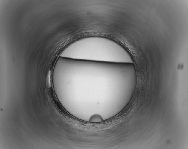 X0000101210022200806270904