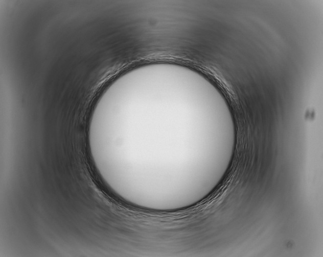X0000101210024200806270904