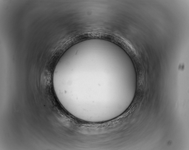 X0000101210025200806270904