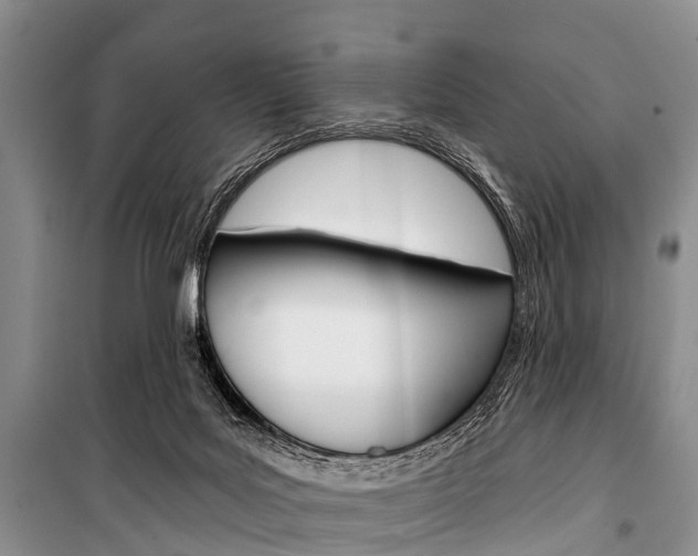 X0000101210027200806270904