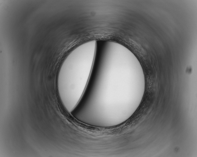 X0000101210028200806270904