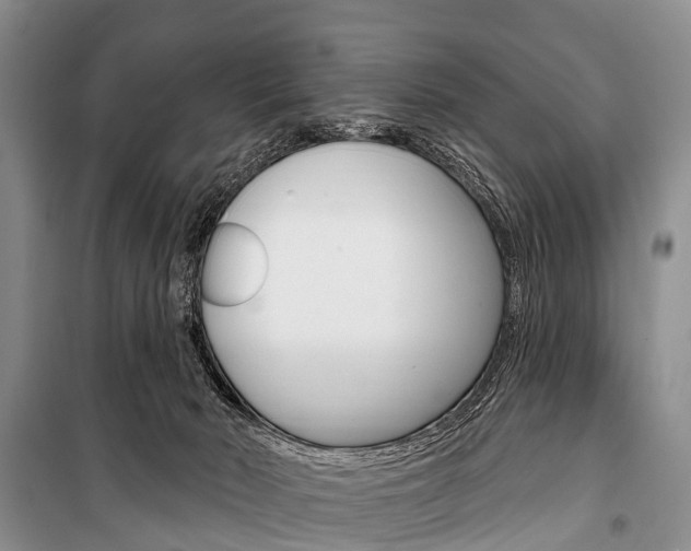 X0000101210030200806270904