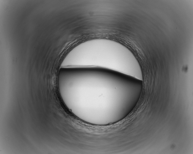 X0000101210035200806270904