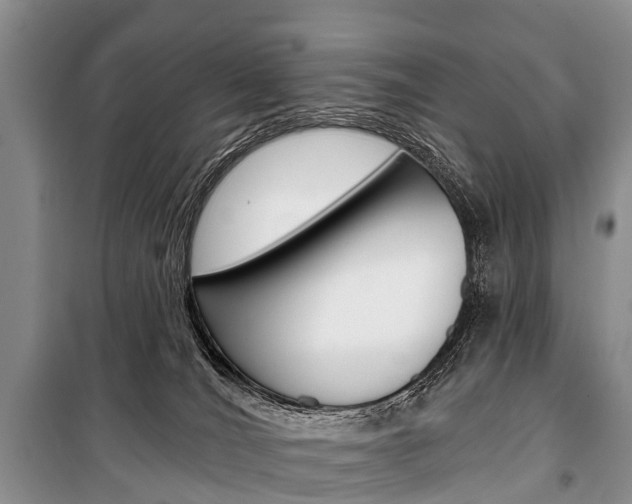 X0000101210036200806270904