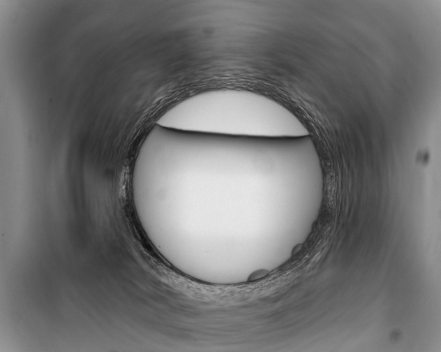 X0000101210038200806270904