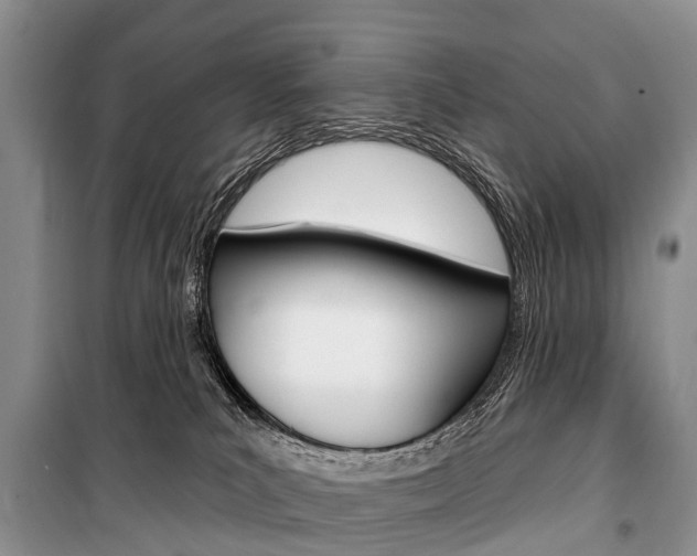 X0000101210039200806270904