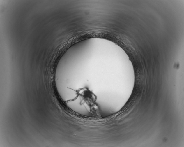 X0000101210040200806270904