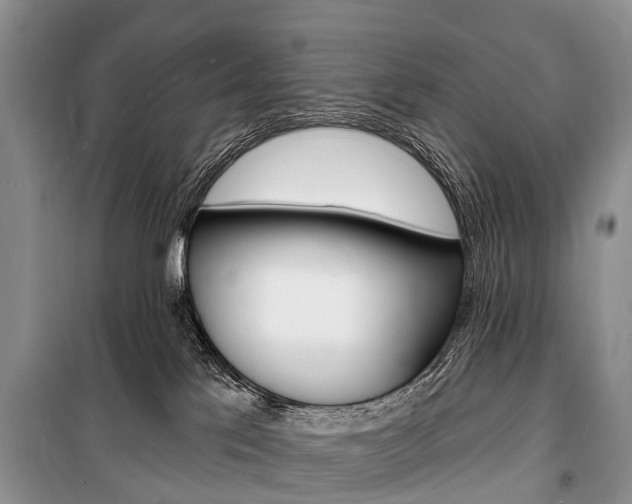 X0000101210041200806270904