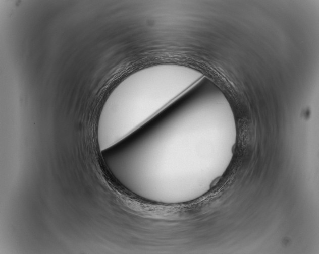 X0000101210044200806270904