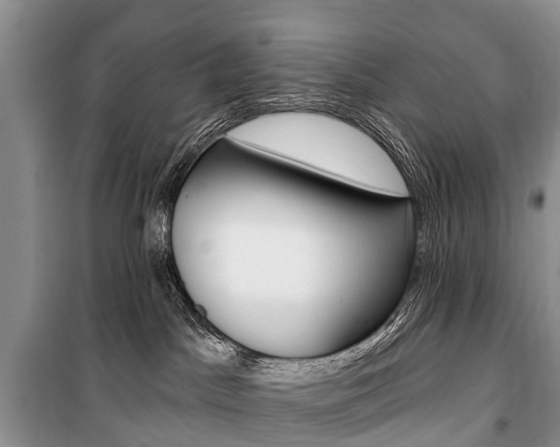 X0000101210045200806270904