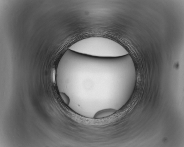 X0000101210046200806270904