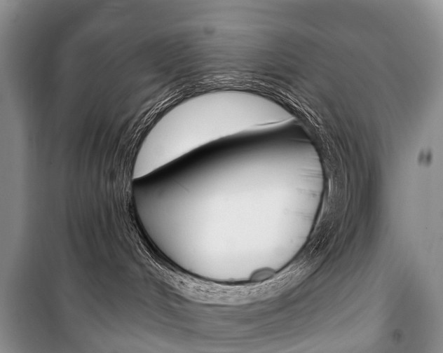 X0000101210048200806270904