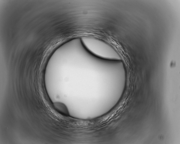 X0000101210049200806270903