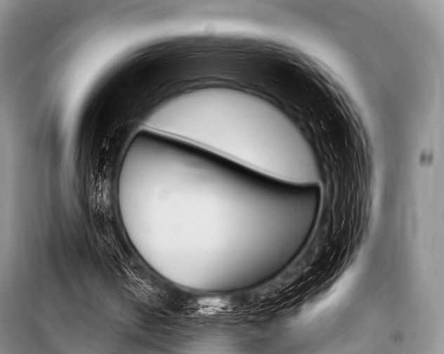 X0000101210050200806270903