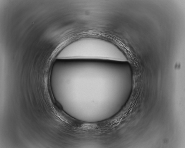 X0000101210051200806270903