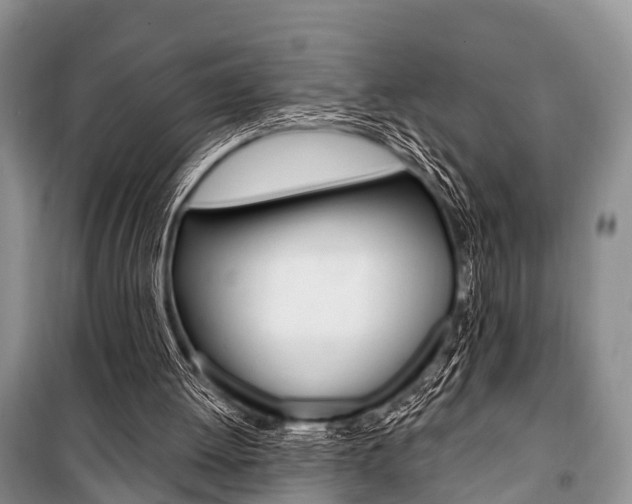 X0000101210052200806270903