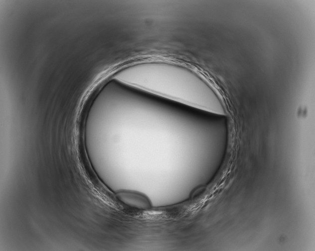 X0000101210055200806270903