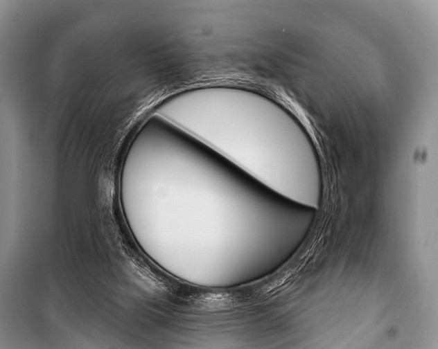 X0000101210059200806270903