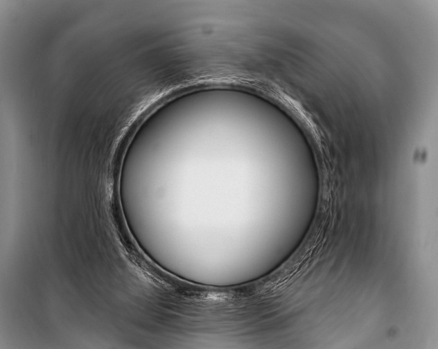 X0000101210060200806270903