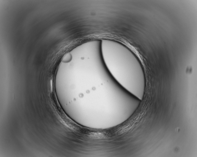 X0000101210061200806270903