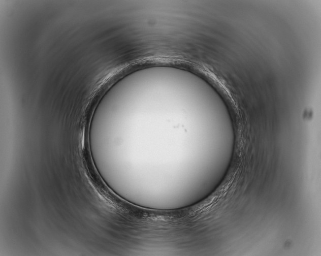 X0000101210062200806270903