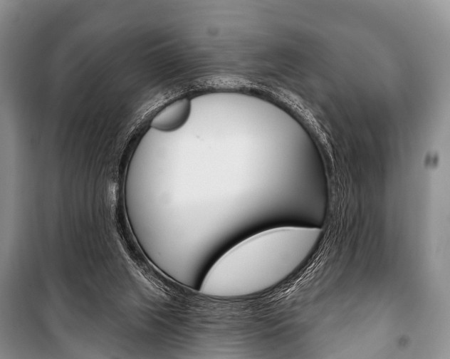 X0000101210063200806270903