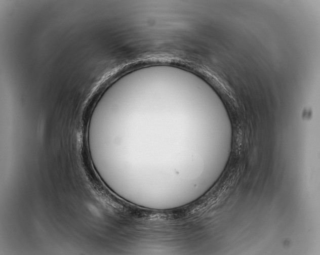 X0000101210064200806270903