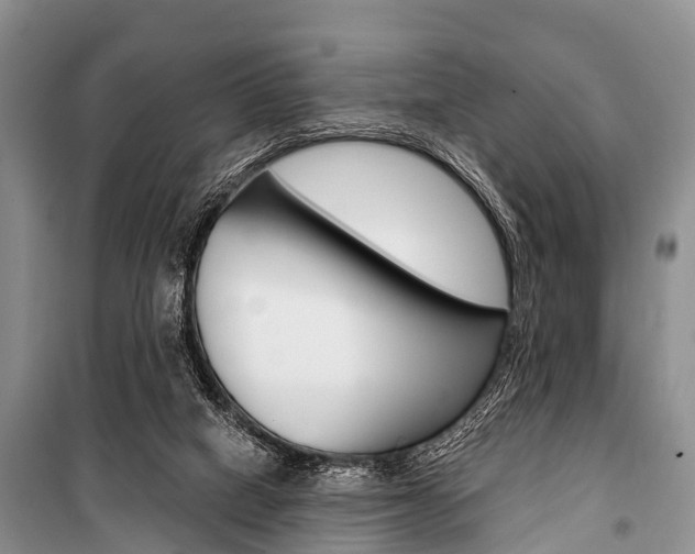 X0000101210066200806270903